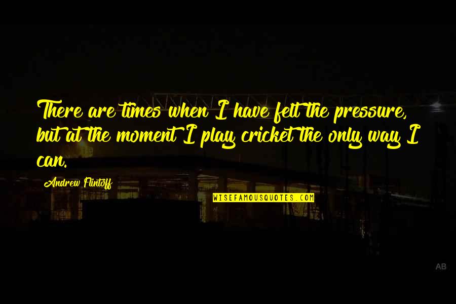 Flintoff Quotes By Andrew Flintoff: There are times when I have felt the