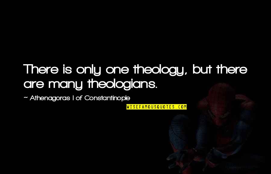 Flip Flop Beach Quotes By Athenagoras I Of Constantinople: There is only one theology, but there are