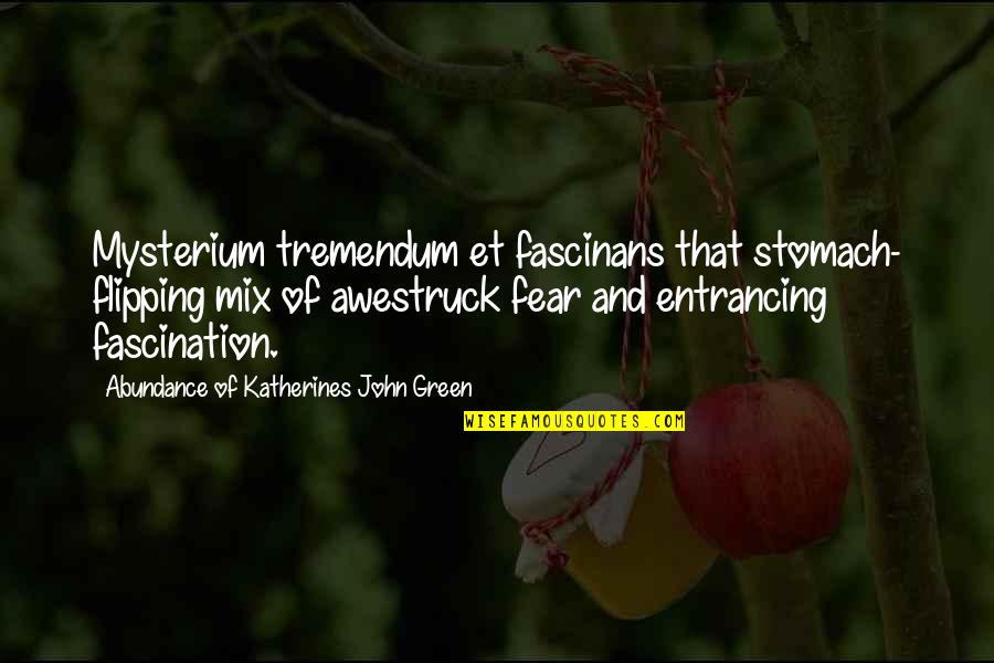 Flipping Out Quotes By Abundance Of Katherines John Green: Mysterium tremendum et fascinans that stomach- flipping mix