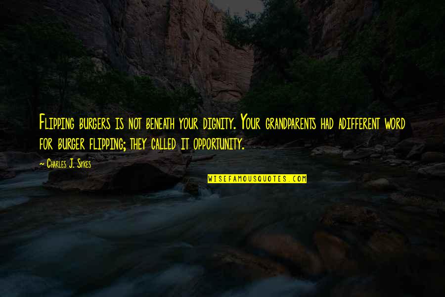 Flipping Out Quotes By Charles J. Sykes: Flipping burgers is not beneath your dignity. Your