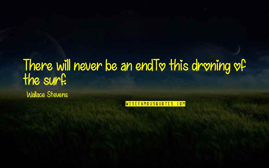 Flipping Someone Off Quotes By Wallace Stevens: There will never be an endTo this droning Flipping Someone Off Quotes By Wallace Stevens: There will never be an endTo this droning