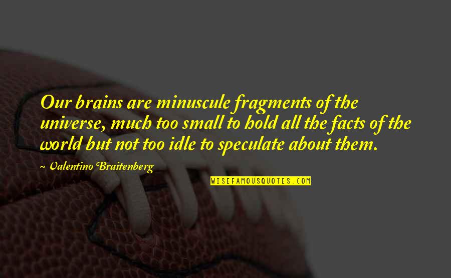 Flitterings Quotes By Valentino Braitenberg: Our brains are minuscule fragments of the universe,