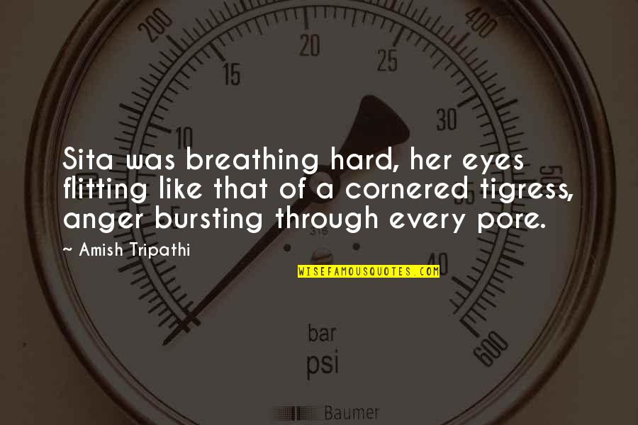 Flitting Quotes By Amish Tripathi: Sita was breathing hard, her eyes flitting like