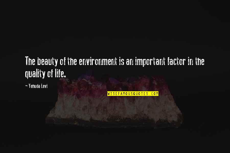 Flleshi Quotes By Yehuda Levi: The beauty of the environment is an important