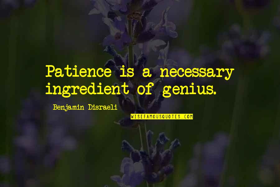 Float Trips Quotes By Benjamin Disraeli: Patience is a necessary ingredient of genius.