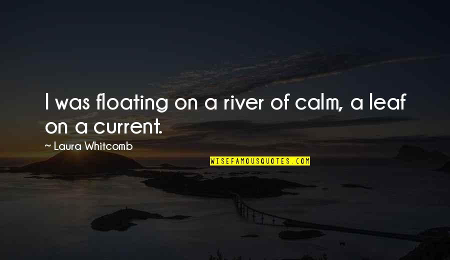 Floating The River Quotes By Laura Whitcomb: I was floating on a river of calm,