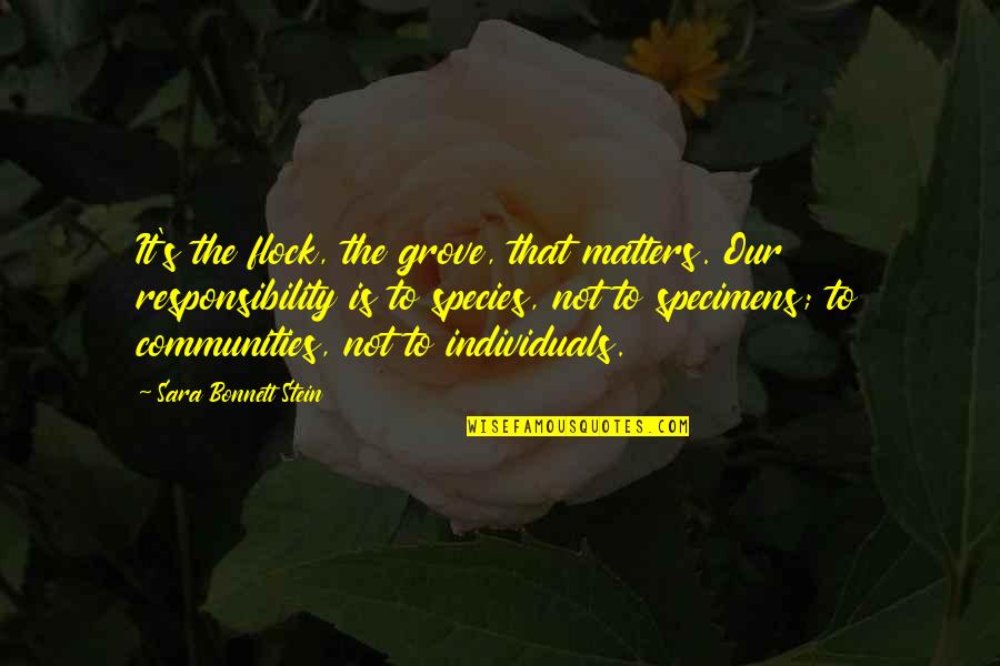 Flock Quotes By Sara Bonnett Stein: It's the flock, the grove, that matters. Our Flock Quotes By Sara Bonnett Stein: It's the flock, the grove, that matters. Our