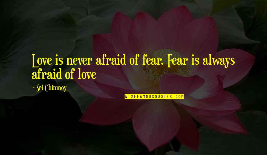 Flocka In Spanish Quotes By Sri Chinmoy: Love is never afraid of fear. Fear is