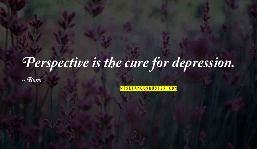 Flodder In Amerika Quotes By Bono: Perspective is the cure for depression.