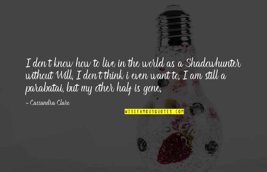 Flogen Probiotic Quotes By Cassandra Clare: I don't know how to live in the