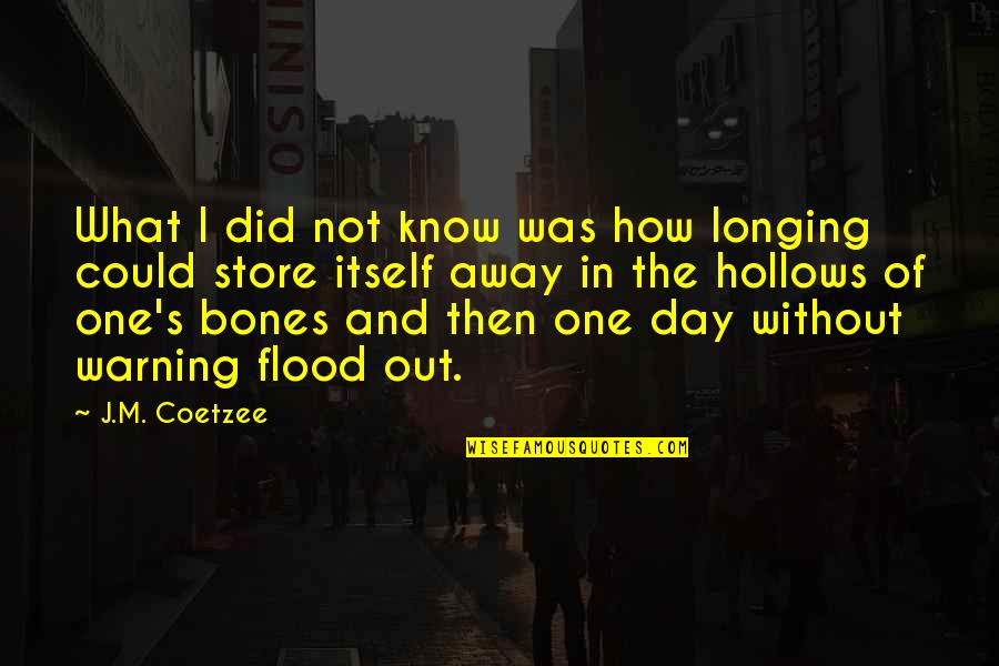 Flood In Quotes By J.M. Coetzee: What I did not know was how longing