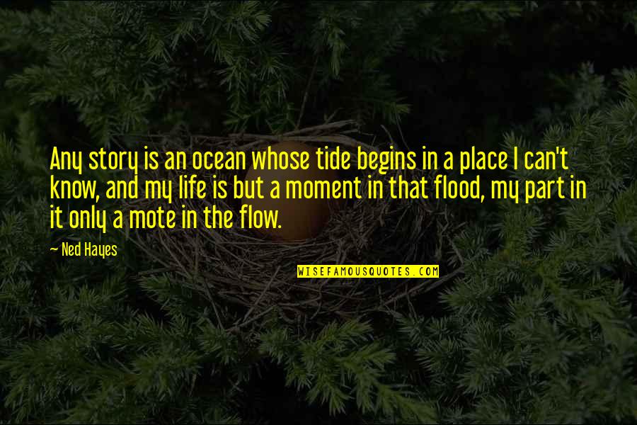 Flood In Quotes By Ned Hayes: Any story is an ocean whose tide begins