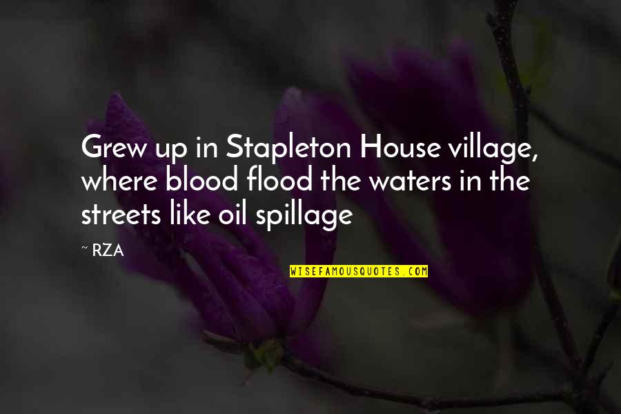 Flood In Quotes By RZA: Grew up in Stapleton House village, where blood