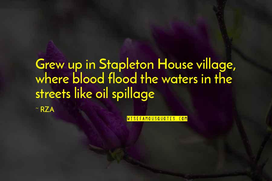 Flood Waters Quotes By RZA: Grew up in Stapleton House village, where blood Flood Waters Quotes By RZA: Grew up in Stapleton House village, where blood