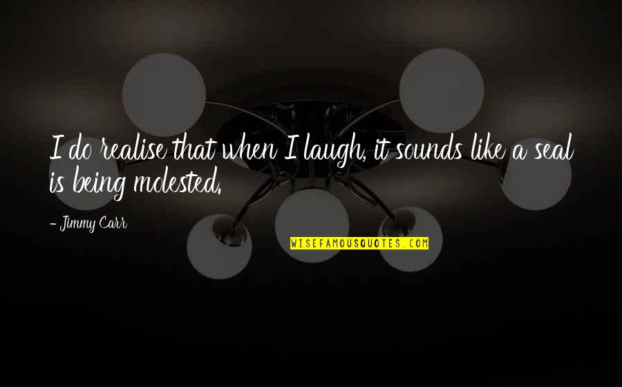 Floodlights For Sale Quotes By Jimmy Carr: I do realise that when I laugh, it