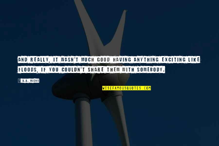 Floods Quotes By A.A. Milne: And really, it wasn't much good having anything Floods Quotes By A.A. Milne: And really, it wasn't much good having anything