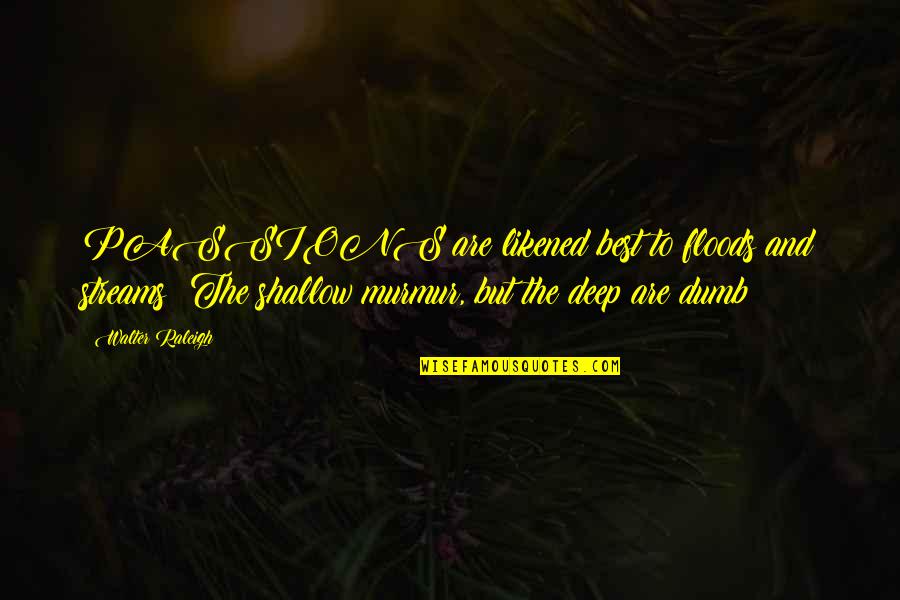 Floods Quotes By Walter Raleigh: PASSIONS are likened best to floods and streams: Floods Quotes By Walter Raleigh: PASSIONS are likened best to floods and streams: