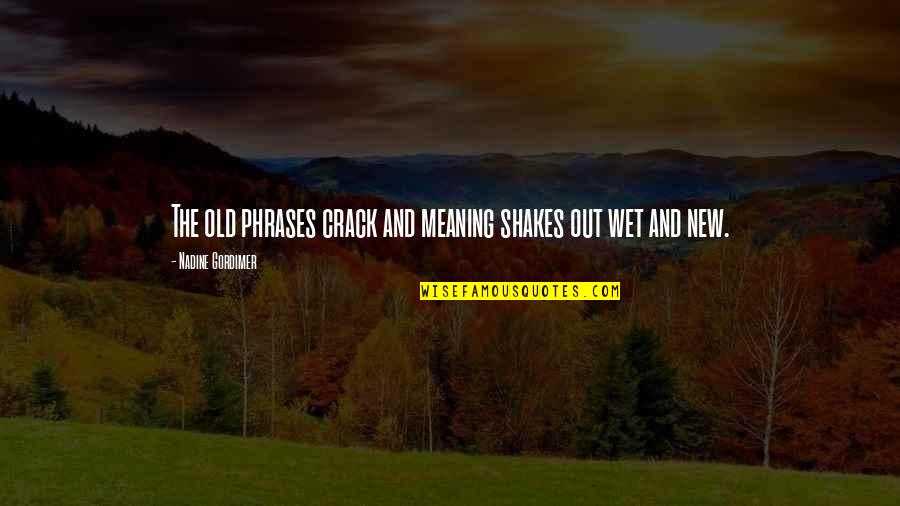 Floorwalkers Schedule Quotes By Nadine Gordimer: The old phrases crack and meaning shakes out