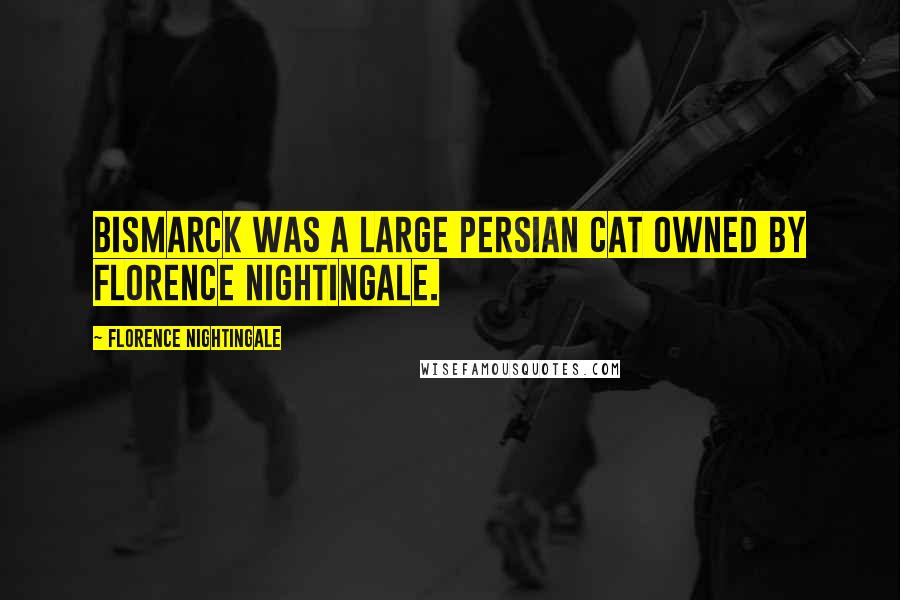 Florence Nightingale quotes: Bismarck was a large persian cat owned by Florence Nightingale.