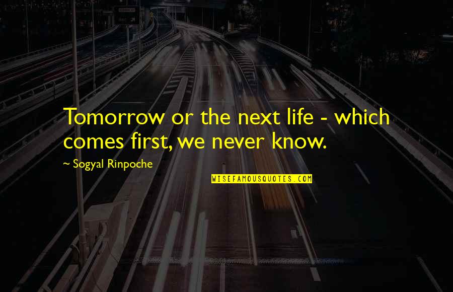 Floret Flower Quotes By Sogyal Rinpoche: Tomorrow or the next life - which comes