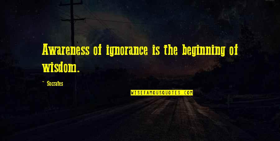 Florians Schultz Quotes By Socrates: Awareness of ignorance is the beginning of wisdom.