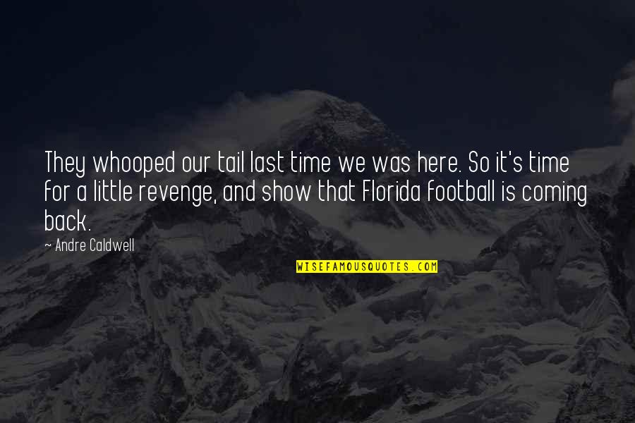 Florida Football Quotes By Andre Caldwell: They whooped our tail last time we was