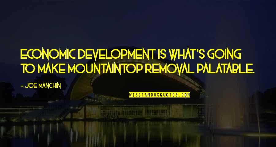 Florist Nursery Quotes By Joe Manchin: Economic development is what's going to make mountaintop
