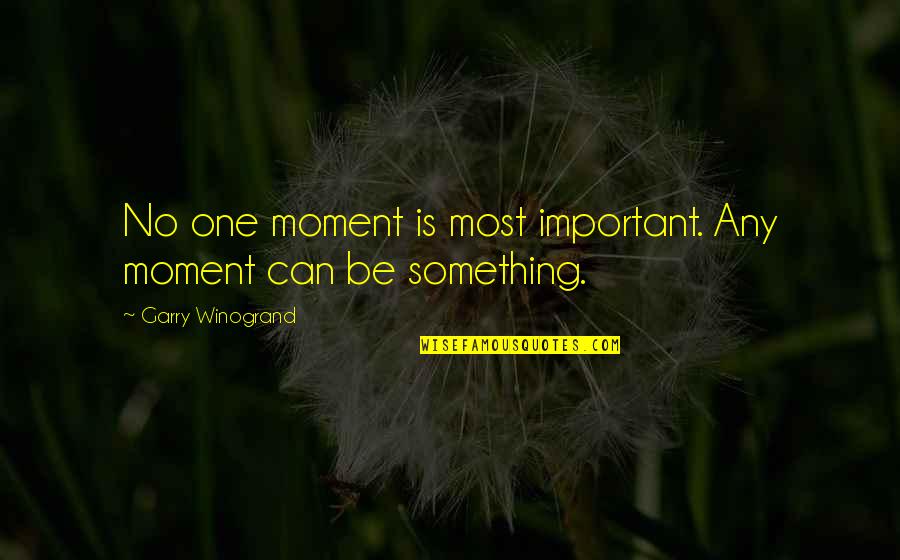 Flossy Quotes By Garry Winogrand: No one moment is most important. Any moment