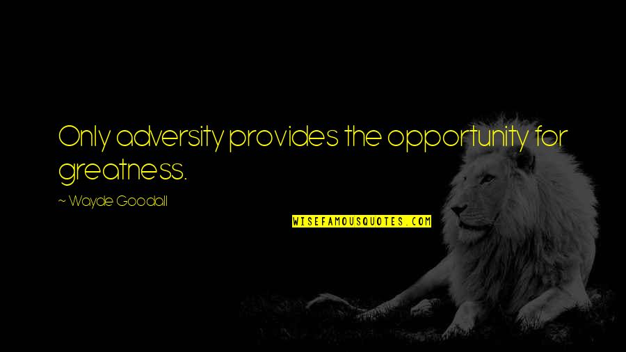 Flotacion De Minerales Quotes By Wayde Goodall: Only adversity provides the opportunity for greatness. Flotacion De Minerales Quotes By Wayde Goodall: Only adversity provides the opportunity for greatness.