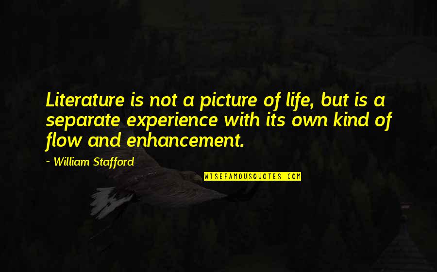 Flow Of Life Quotes By William Stafford: Literature is not a picture of life, but