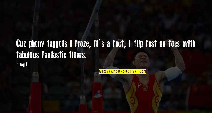 Flow Quotes By Big L: Cuz phony faggots I froze, it's a fact,