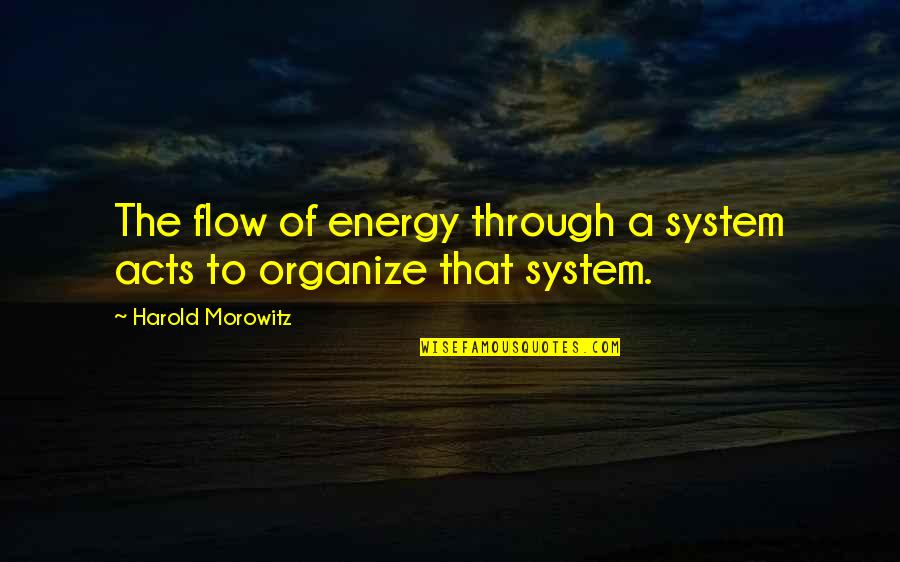 Flow'd Quotes By Harold Morowitz: The flow of energy through a system acts