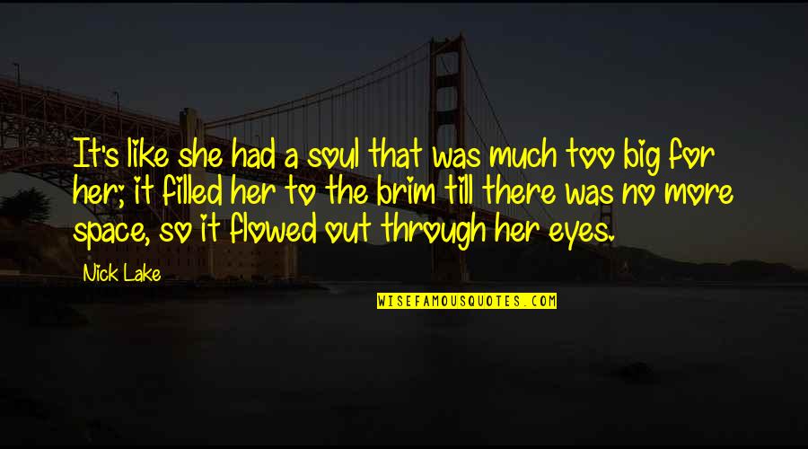 Flowed Quotes By Nick Lake: It's like she had a soul that was