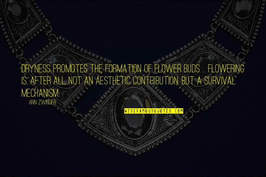 Flower Aesthetic Quotes By Ann Zwinger: Dryness promotes the formation of flower buds ... Flower Aesthetic Quotes By Ann Zwinger: Dryness promotes the formation of flower buds ...
