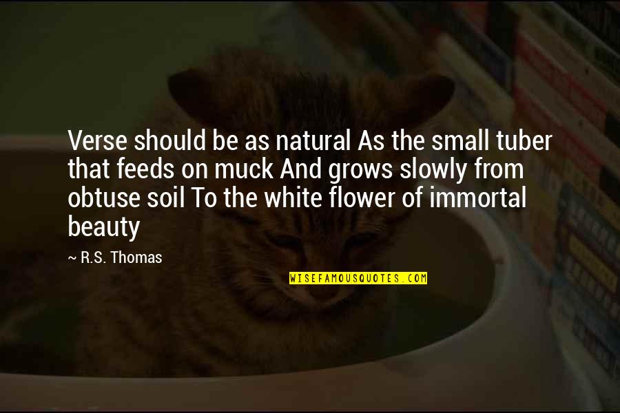 Flower And Beauty Quotes By R.S. Thomas: Verse should be as natural As the small