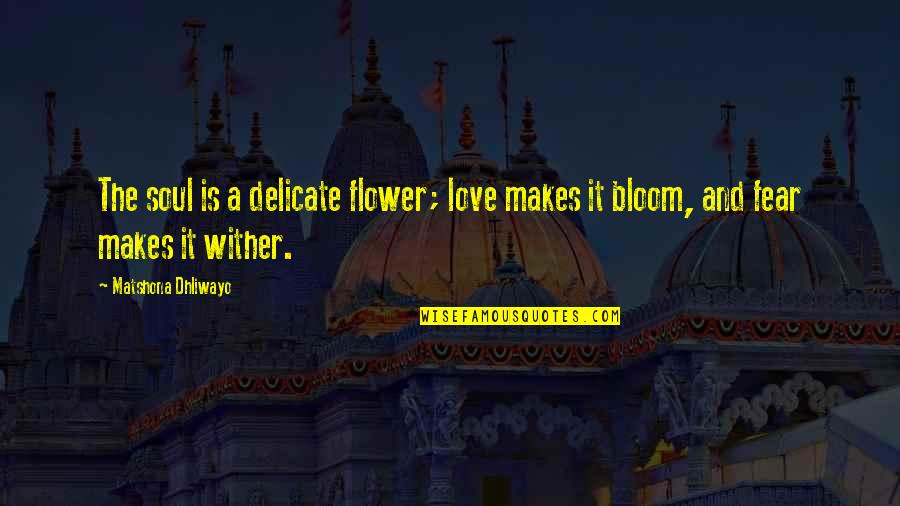 Flower And Bloom Quotes By Matshona Dhliwayo: The soul is a delicate flower; love makes