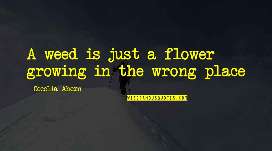 Flower And Growing Quotes By Cecelia Ahern: A weed is just a flower growing in Flower And Growing Quotes By Cecelia Ahern: A weed is just a flower growing in