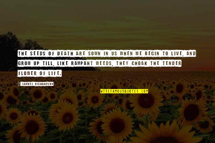 Flower And Growing Quotes By Samuel Richardson: The seeds of Death are sown in us Flower And Growing Quotes By Samuel Richardson: The seeds of Death are sown in us