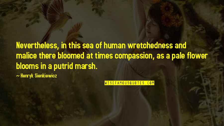 Flower And Quotes By Henryk Sienkiewicz: Nevertheless, in this sea of human wretchedness and