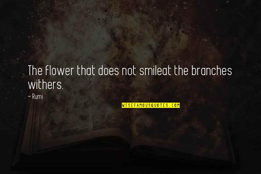 Flower And Smile Quotes By Rumi: The flower that does not smileat the branches