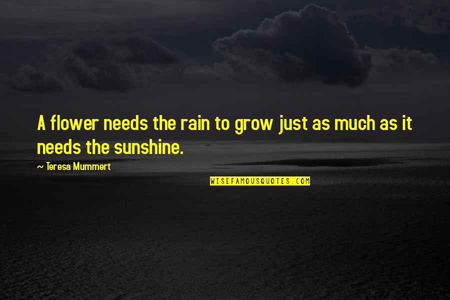 Flower And Sunshine Quotes By Teresa Mummert: A flower needs the rain to grow just