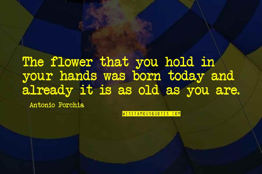 Flower And Time Quotes By Antonio Porchia: The flower that you hold in your hands