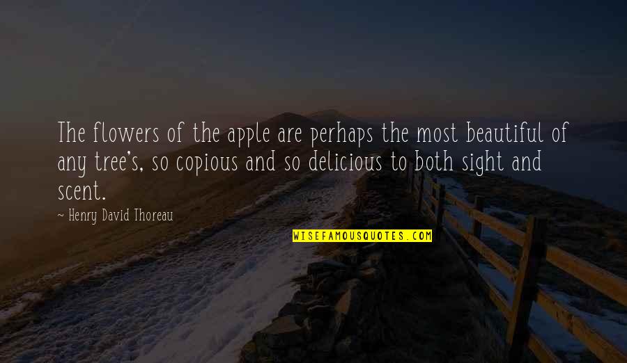 Flower Beautiful Quotes By Henry David Thoreau: The flowers of the apple are perhaps the