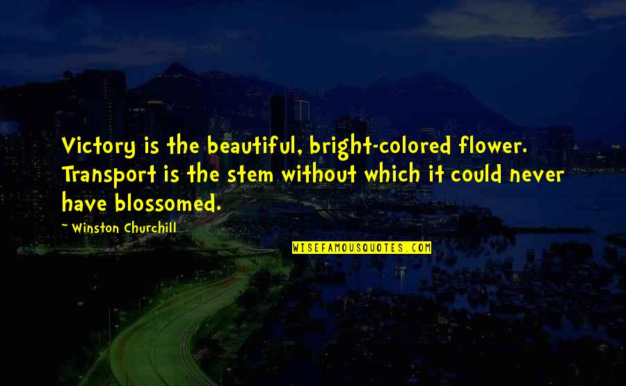 Flower Beautiful Quotes By Winston Churchill: Victory is the beautiful, bright-colored flower. Transport is