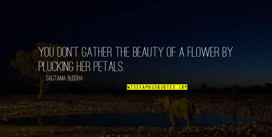 Flower Beauty Quotes By Gautama Buddha: You don't gather the beauty of a flower