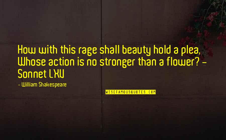 Flower Beauty Quotes By William Shakespeare: How with this rage shall beauty hold a