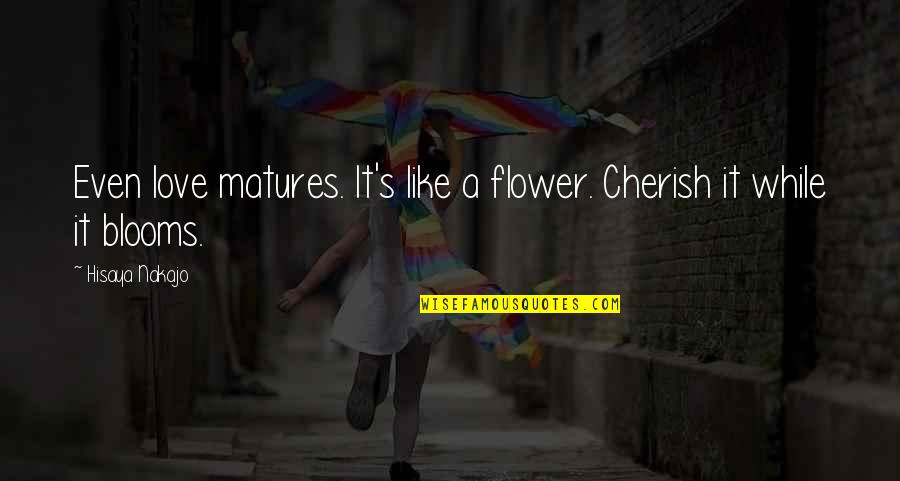 Flower Blooms Quotes By Hisaya Nakajo: Even love matures. It's like a flower. Cherish