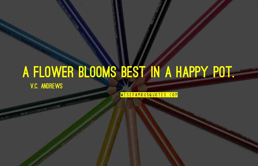 Flower Blooms Quotes By V.C. Andrews: A flower blooms best in a happy pot.