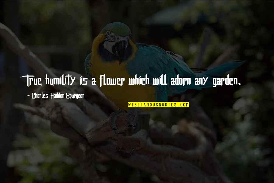 Flower Garden Quotes By Charles Haddon Spurgeon: True humility is a flower which will adorn