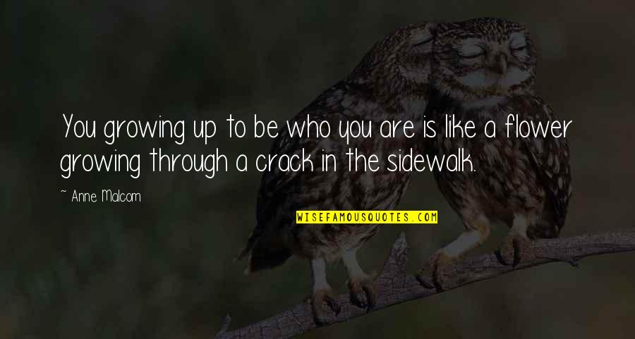 Flower In Crack Quotes By Anne Malcom: You growing up to be who you are